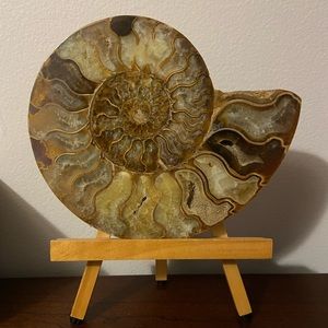 Geode with Wooden Display Stand